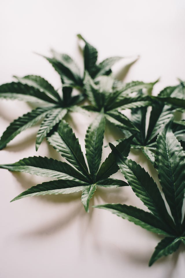 CBD pour les Athlètes : Une Solution Naturelle pour Optimiser les Performances et la Récupération
